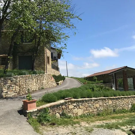 Vignotti Mombarcaro